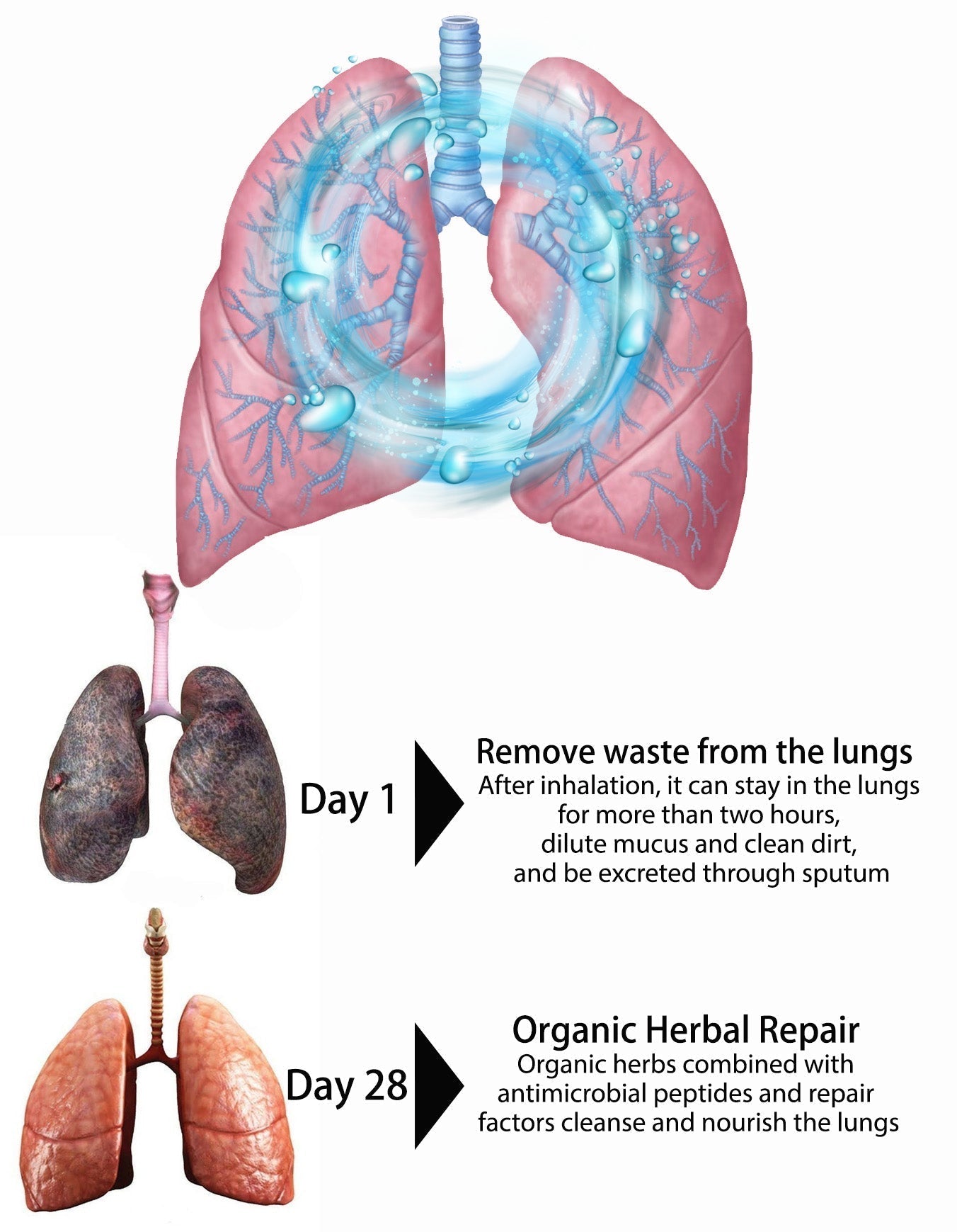 ☘️Official Brand Store✅OnNature Organic Herbal Lung Cleanse & Repair Nasal Spray